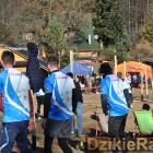 zdjęcie nr 18
