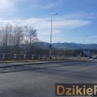 Fot: DzikieRadio®