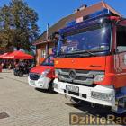 zdjęcie nr 40