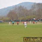 zdjęcie nr 19