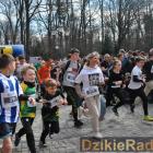 zdjęcie nr 71