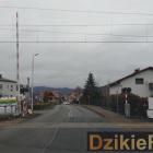 Fotka nr 1 z 3