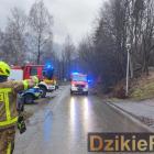 Fot. DzikieRadio 