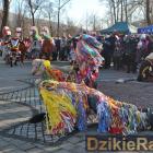 zdjęcie nr 164
