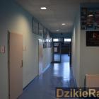 zdjęcie nr 46