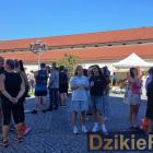 zdjęcie nr 31