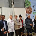 zdjęcie nr 14