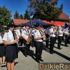 zdjęcie nr 41