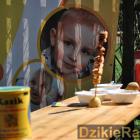 zdjęcie nr 12