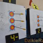 zdjęcie nr 12
