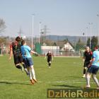 zdjęcie nr 11