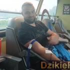 zdjęcie nr 8