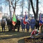 zdjęcie nr 9