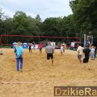 zdjęcie nr 248