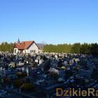 zdjęcie nr 22