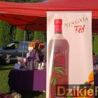 zdjęcie nr 56