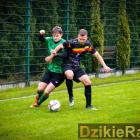 zdjęcie nr 13