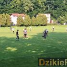 Fotka nr 2 z 10