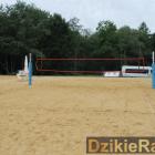 Fotka nr 3 z 83