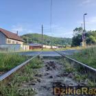 Fotka nr 5 z 6