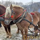 zdjęcie nr 143