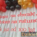 zdjęcie nr 54