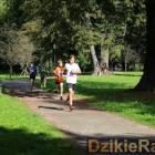 zdjęcie nr 38