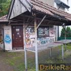 Fotka nr 4 z 5