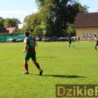 zdjęcie nr 13