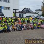 zdjęcie nr 15
