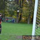 zdjęcie nr 116