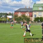 Fotka nr 4 z 46