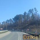 Fotka nr 5 z 8