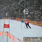 zdjęcie nr 133