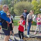 zdjęcie nr 33