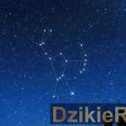Fot.odkrywcyplanet