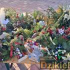 zdjęcie nr 108