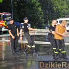 zdjęcie nr 14