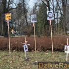 zdjęcie nr 8