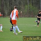 zdjęcie nr 13