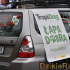 zdjęcie nr 176
