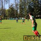 zdjęcie nr 11