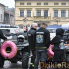 zdjęcie nr 96