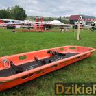 zdjęcie nr 418