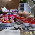 zdjęcie nr 11