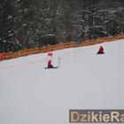 zdjęcie nr 33