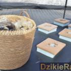 zdjęcie nr 44