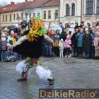zdjęcie nr 178