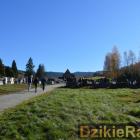 Fot. Dzikeradio