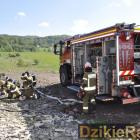 zdjęcie nr 36